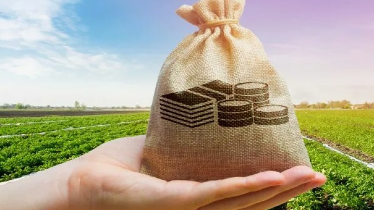 На технологическое обеспечение продбезопасности в 2026 году выделят 19,8 млрд рублей