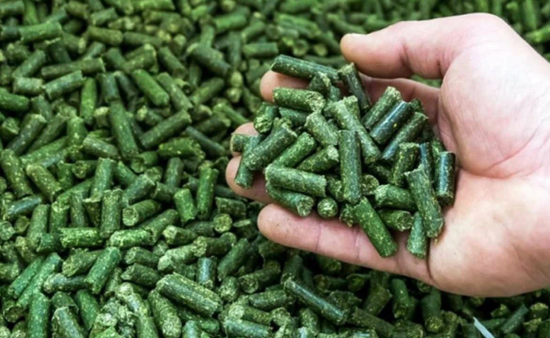 Производство в Ординском округе обеспечит Прикамье витаминно-травяной мукой