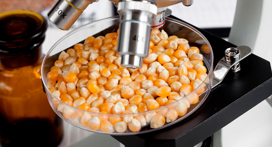 Мининвест: в Ступине откроется лаборатория по контролю качества кормов