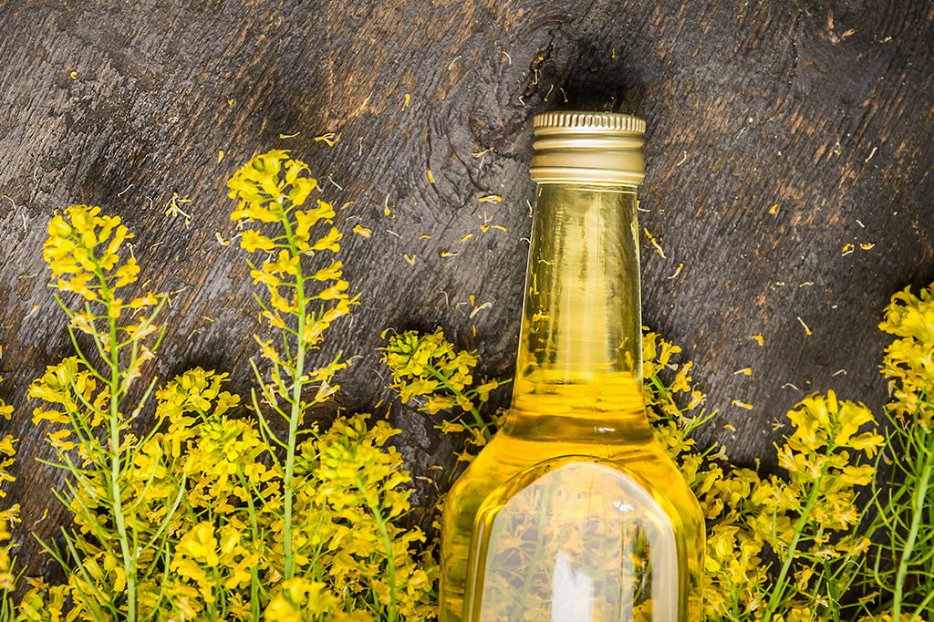 Экспорт рапсового масла из Удмуртии в Китай увеличился в 3,3 раза