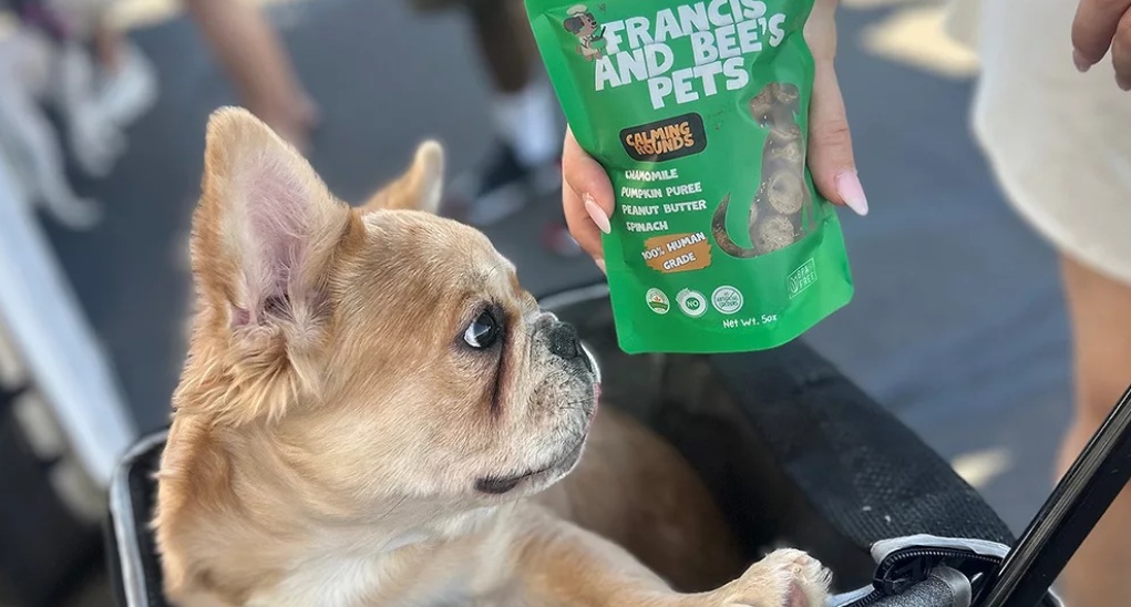 Стартап Francis and Bee’s продвигает натуральные лакомства для собак на основе фруктов и овощей