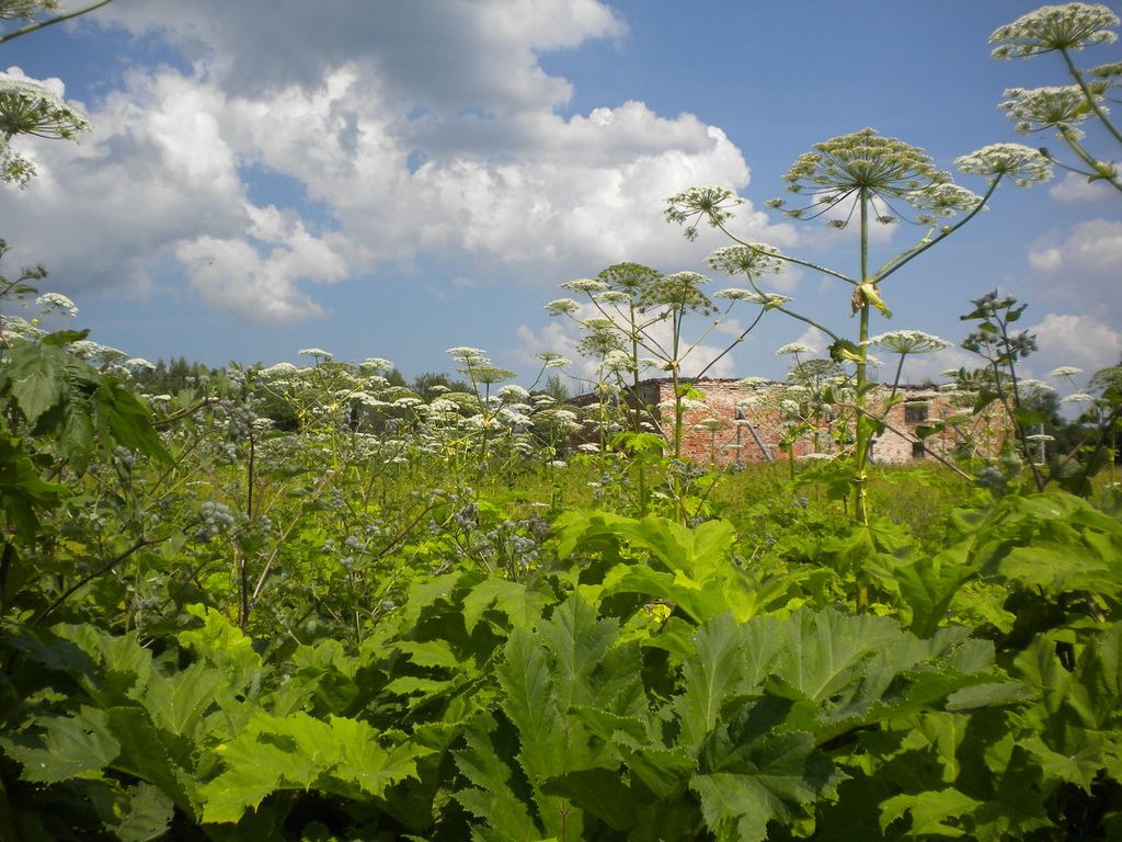 Правительство уточнило критерии определения неиспользуемых сельскохозяйственных земель