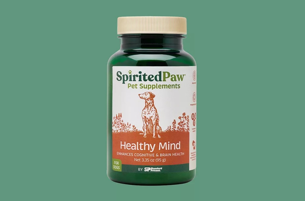 Spirited Paw выпустила добавку для поддержки когнитивного здоровья пожилых собак