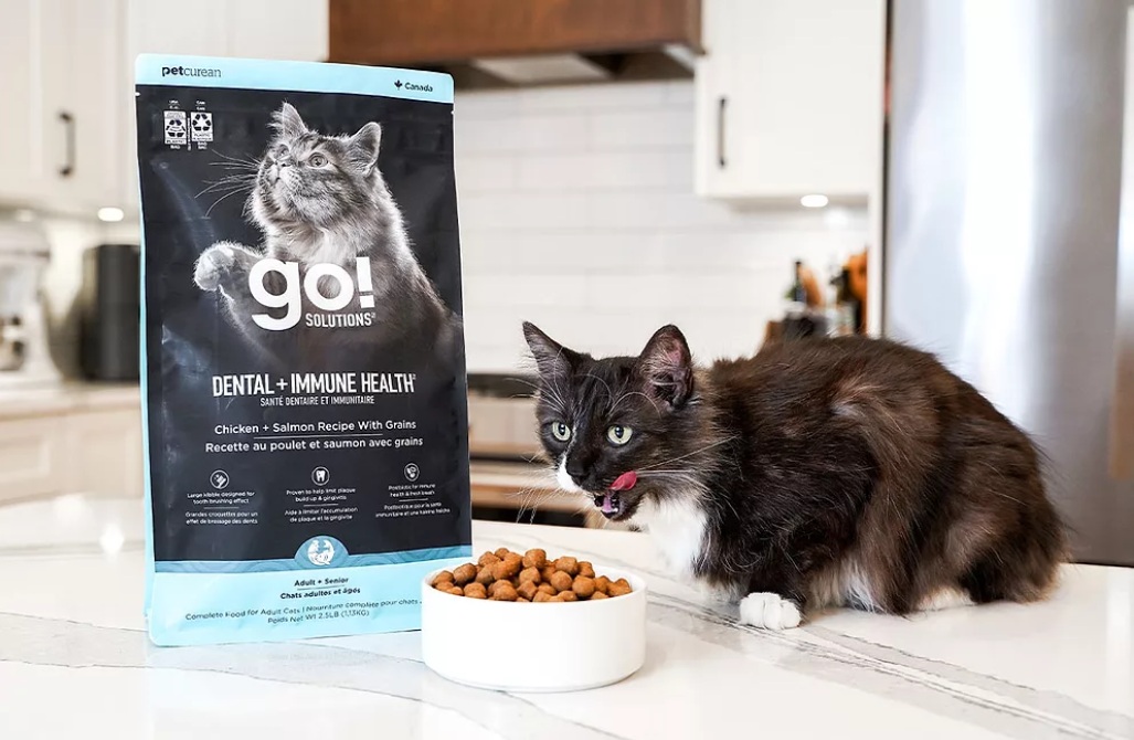 Petcurean представила функциональный корм для поддержки здоровья зубов и иммунитета у домашних животных