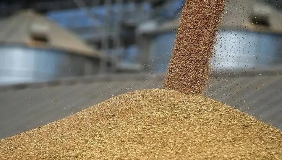 Минсельхоз с 18 марта повысил ставку пошлины на экспорт пшеницы из РФ до 140,9 руб. за тонну