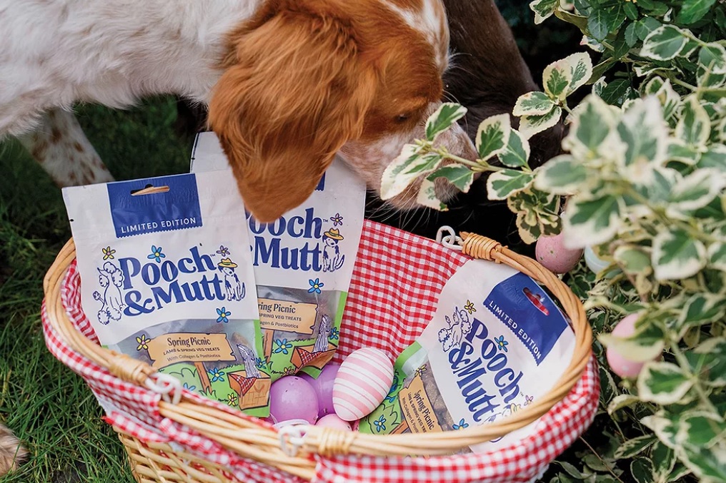 Британский производитель кормов для домашних животных выпустил лимитированную линейку лакомств для собак Spring Picnic