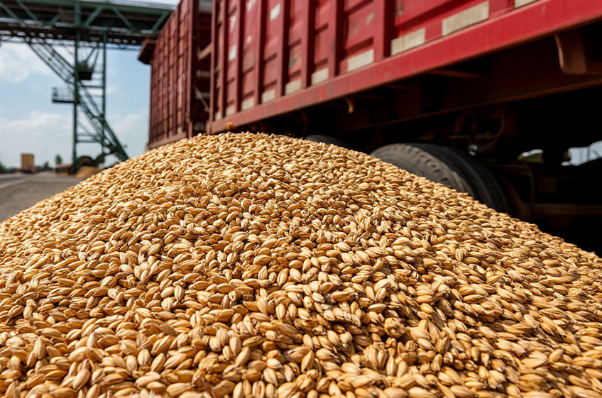 Экспорт зерна из Ростовской области в феврале вырос на 12,6%