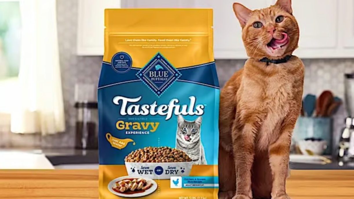 Blue Buffalo выводит на рынок корм для кошек формата 2-в-1 на фоне роста спроса на гибридные и премиальные решения