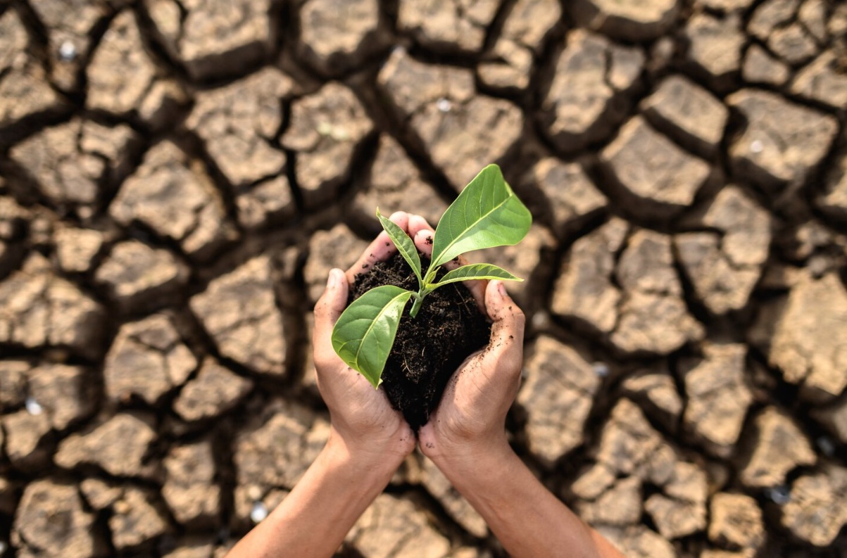 Супер Эль-Ниньо вызовет повышение температуры в 2026 году