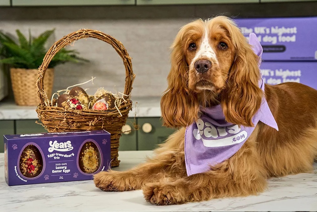 Years.com выводит на рынок пасхальные яйца для собак премиум-класса