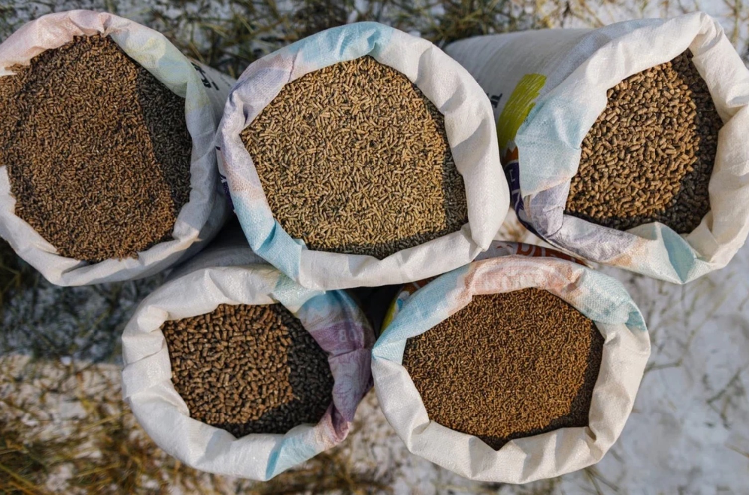 5,4 тысячи тонн волгоградских кормов прошли проверку качества и безопасности