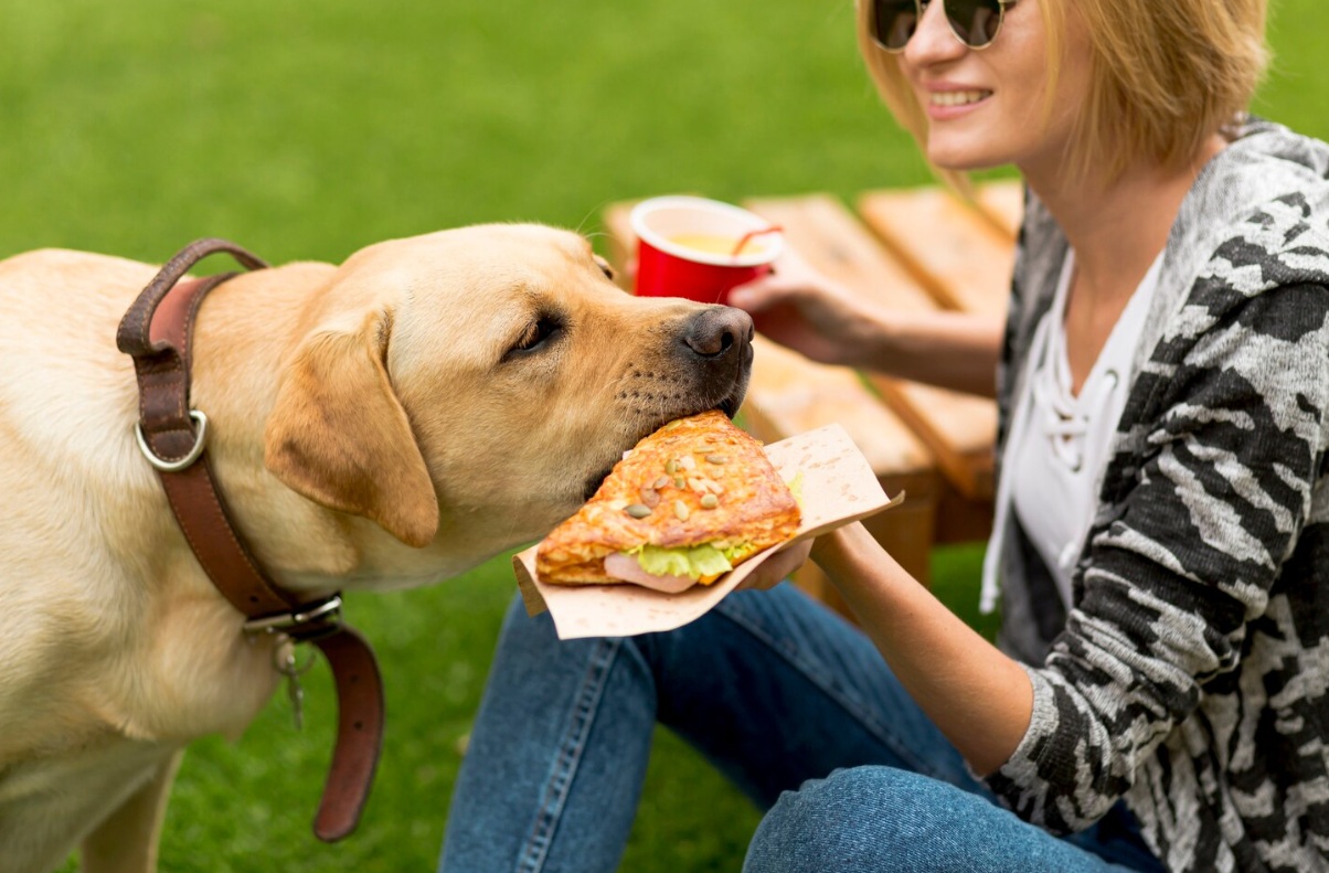 Премиальный сегмент станет драйвером роста рынка товаров для домашних животных в ближайшие пять лет