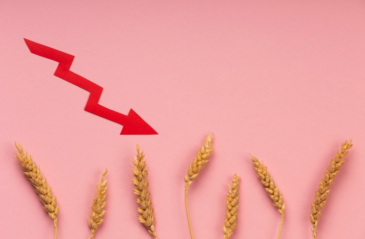 «Томские мельницы» сократили выручку до 2,8 млрд рублей