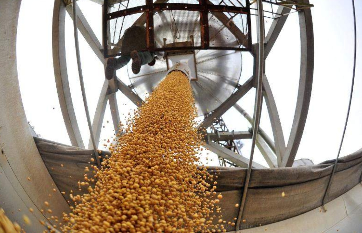 В апреле цены на масличные могут незначительно вырасти