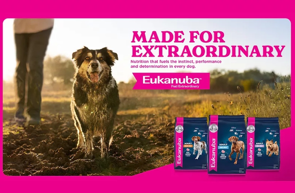 Eukanuba представила обновлённый продуктовый портфель