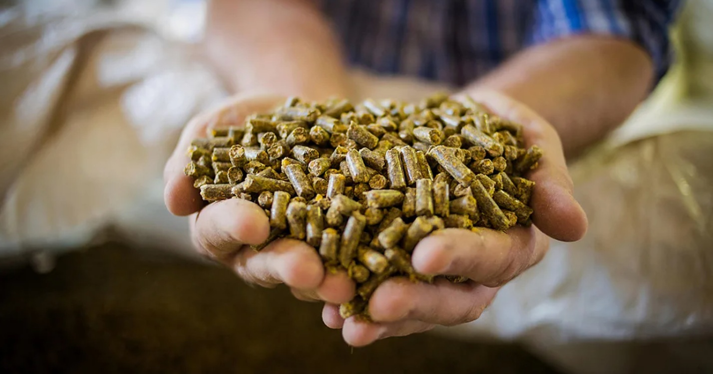 Россия увеличила закупки бразильского корма для животных