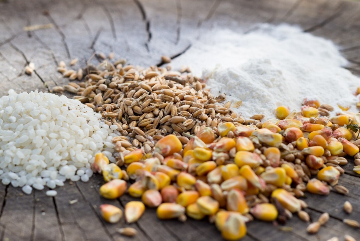 Средние цены производителей на зерновые культуры за февраль 2026 года