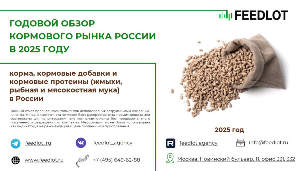 Новый годовой обзор FEEDLOT: кормовой рынок России в 2025 году