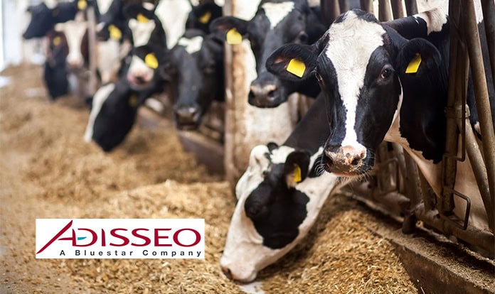 Adisseo пересматривает глобальные цены на линейку метионина SmartLine