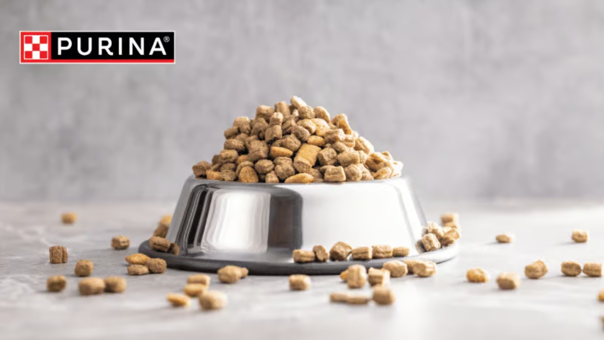 Purina перезапускает линейку кормов GOURMET Perle и выводит на рынок новую рыбную серию Ocean Flakes