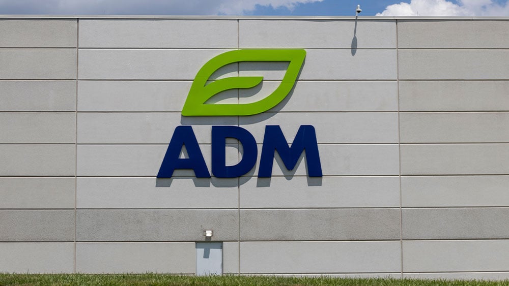 ADM расширила линейку белковых ингредиентов для пищевой промышленности