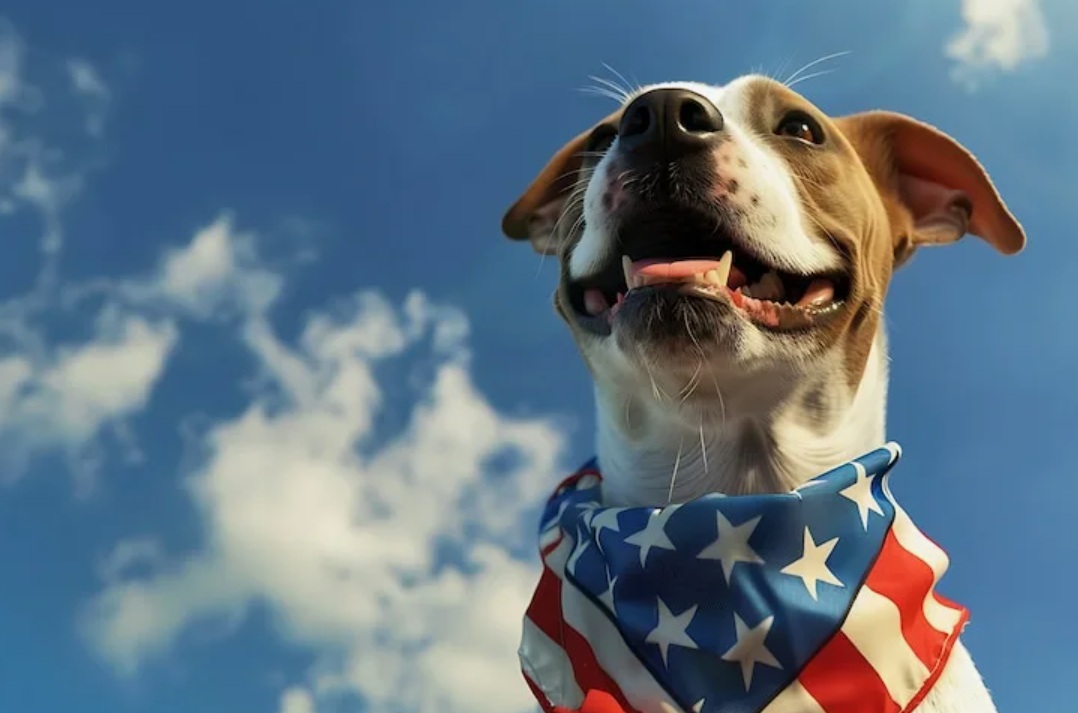Three Dog Brands представит семь новинок для собак на выставке SUPERZOO 2026 в США