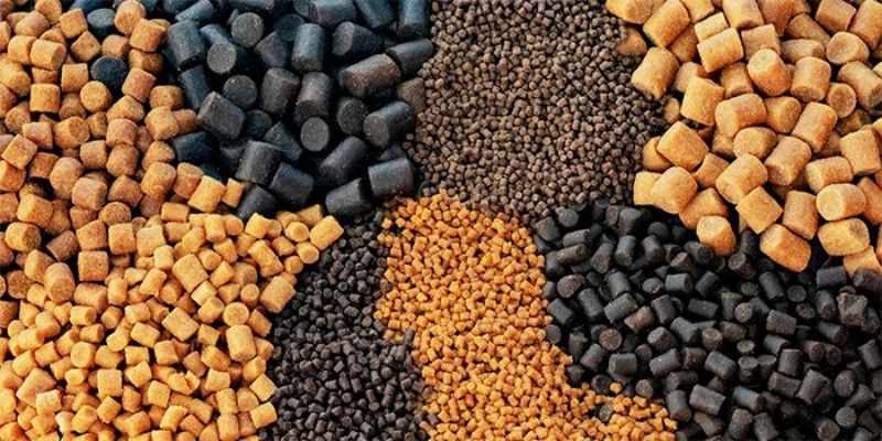 Производство рыбных комбикормов в России выросло на 61,5% за год