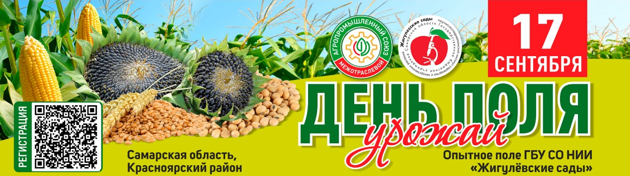 Осенний день поля. Урожай 2026