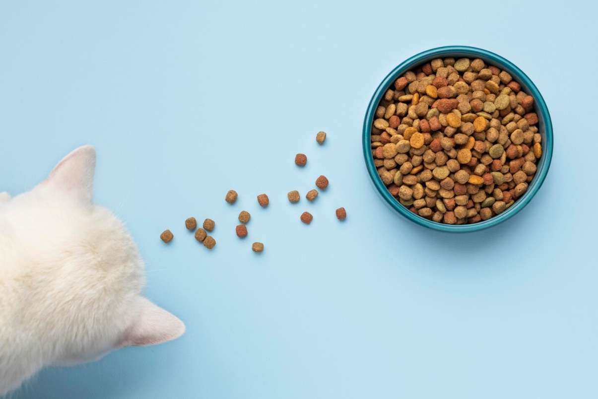 Рост продаж кормов для кошек компенсировал снижение продаж кормов для собак у General Mills