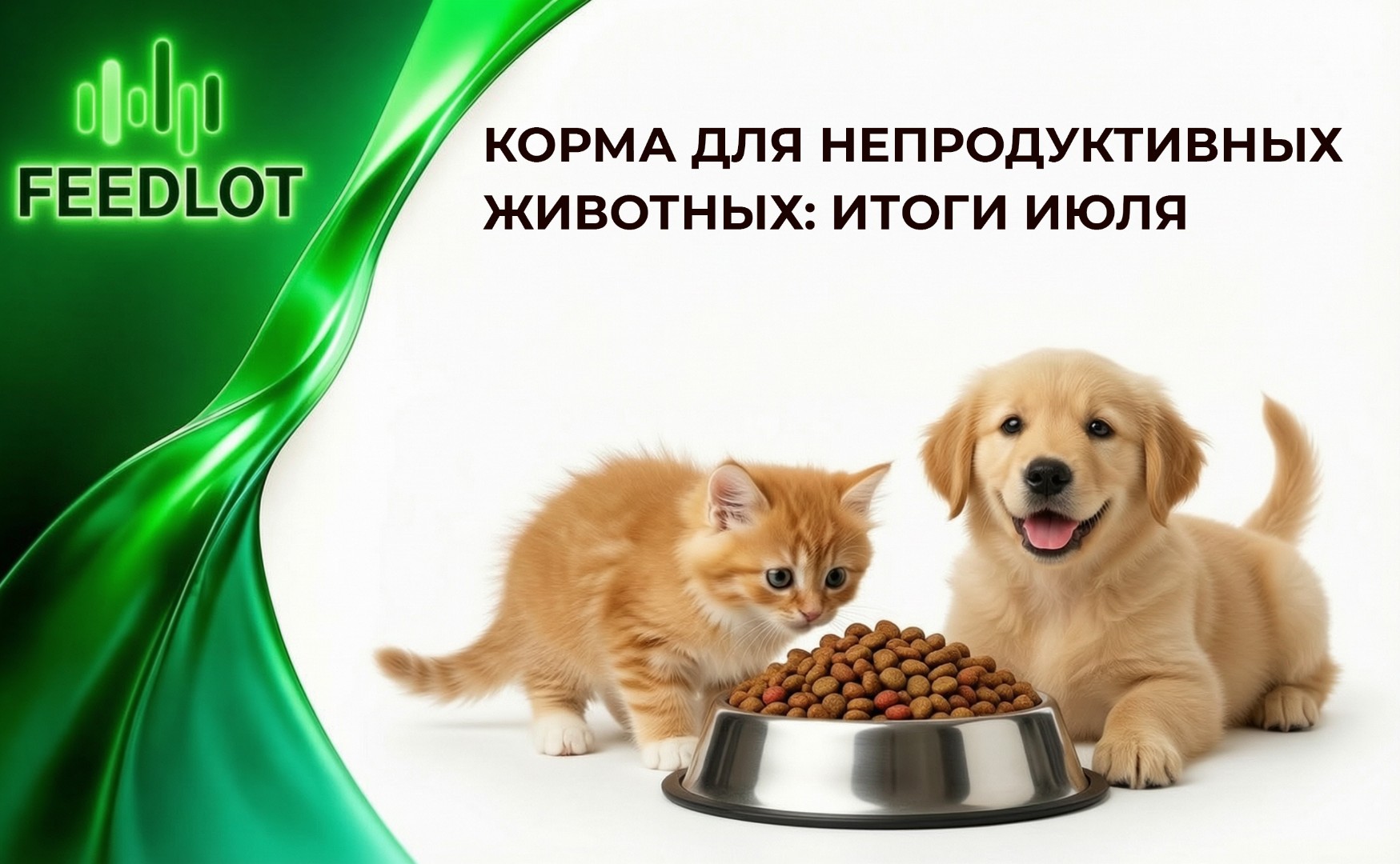 Рынок кормов для питомцев растёт: итоги июля
