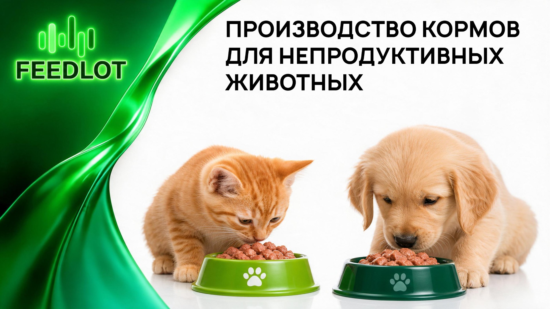 ТРАЕКТОРИЯ FEEDLOT: РЫНОК КОРМОВ ДЛЯ ПИТОМЦЕВ