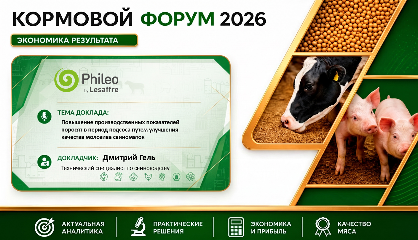КОРМОВОЙ ФОРУМ 2026. ЭКОНОМИКА РЕЗУЛЬТАТА